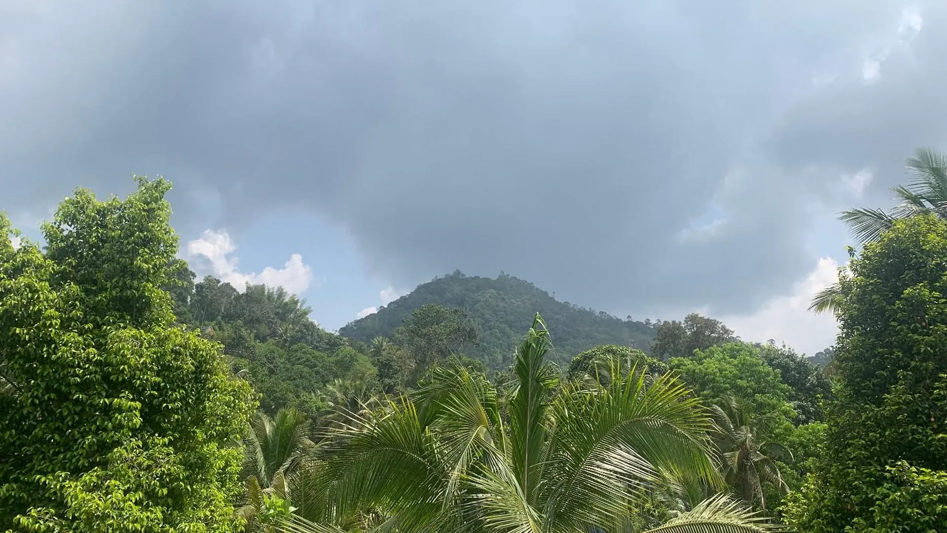 Munnar Falcuns Anachal 0*,  India