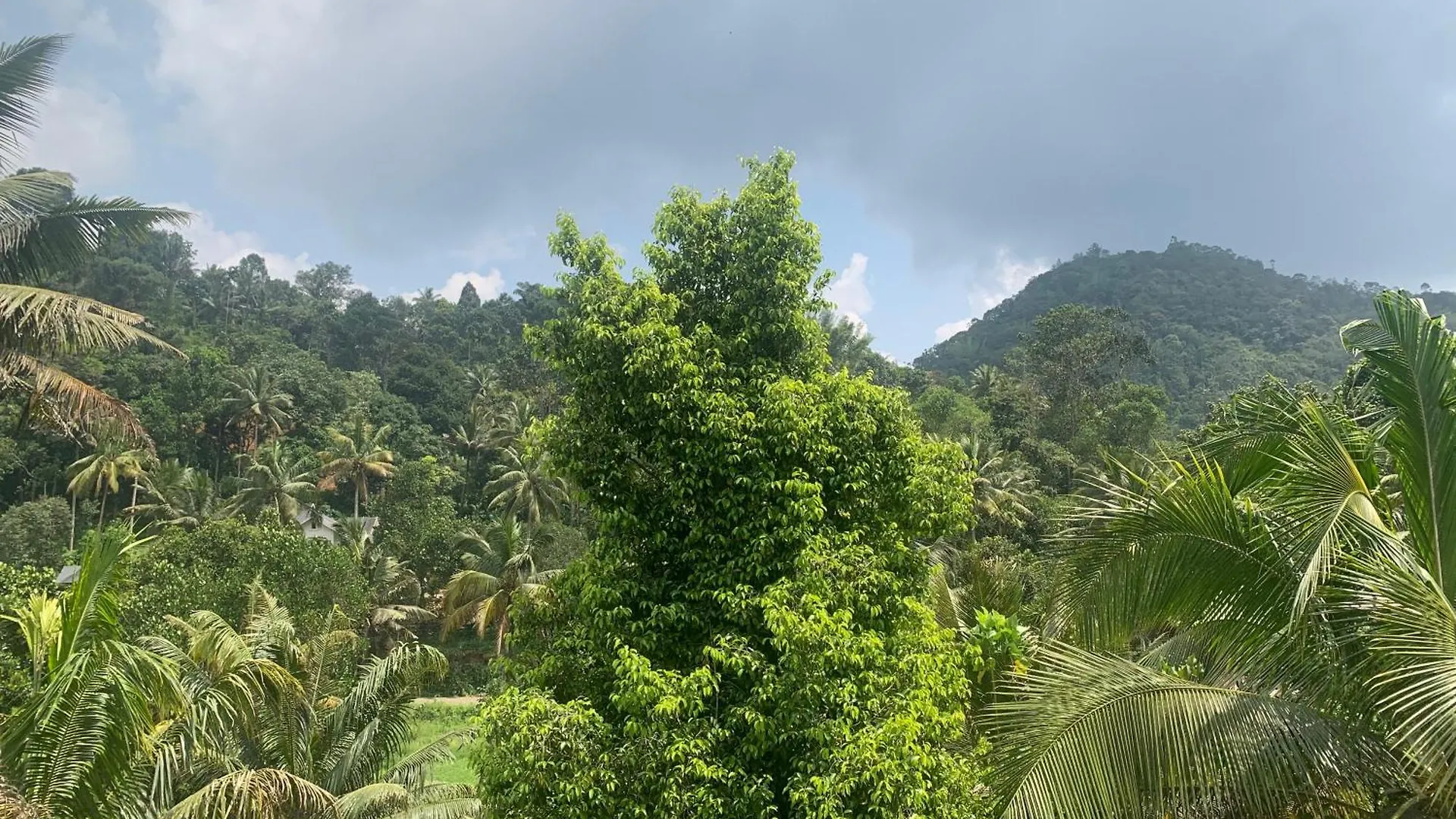 Munnar Falcuns Anachal India